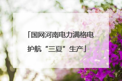国网河南电力满格电护航“三夏”生产