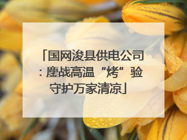 国网浚县供电公司：鏖战高温“烤”验 守护万家清凉