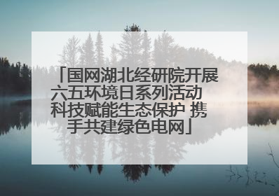 国网湖北经研院开展六五环境日系列活动 科技赋能生态保护 携手共建绿色电网