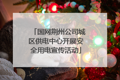 国网荆州公司城区供电中心开展安全用电宣传活动