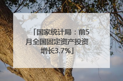 国家统计局：前5月全国固定资产投资增长3.7%