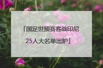 国足世预赛客战印尼25人大名单出炉