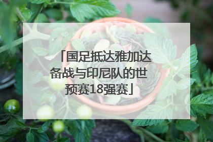 国足抵达雅加达备战与印尼队的世预赛18强赛