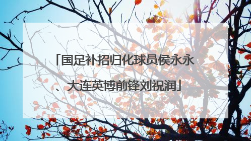 国足补招归化球员侯永永、大连英博前锋刘祝润