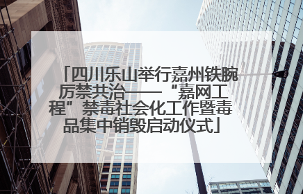 四川乐山举行嘉州铁腕 厉禁共治——“嘉网工程”禁毒社会化工作暨毒品集中销毁启动仪式