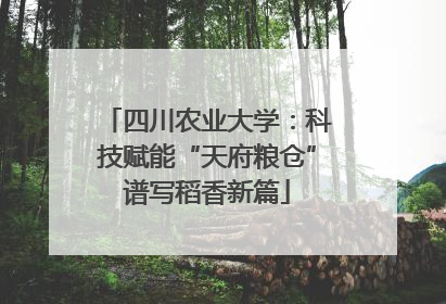 四川农业大学：科技赋能“天府粮仓”谱写稻香新篇