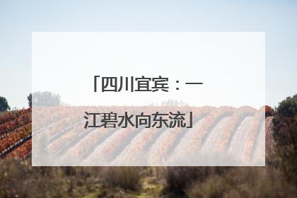 四川宜宾：一江碧水向东流