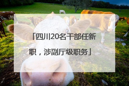 四川20名干部任新职，涉副厅级职务