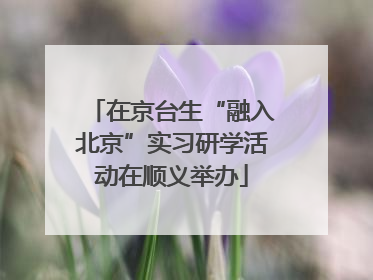 在京台生“融入北京”实习研学活动在顺义举办