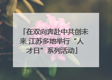 在双向奔赴中共创未来 江苏多地举行“人才日”系列活动