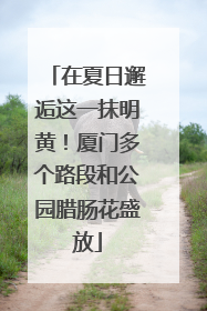 在夏日邂逅这一抹明黄！厦门多个路段和公园腊肠花盛放