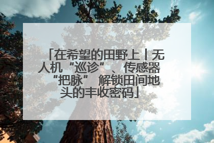 在希望的田野上丨无人机“巡诊”、传感器“把脉” 解锁田间地头的丰收密码