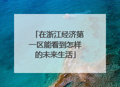 在浙江经济第一区能看到怎样的未来生活