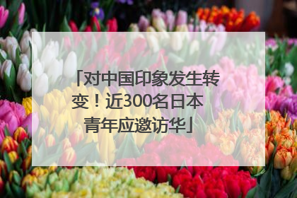 对中国印象发生转变！近300名日本青年应邀访华