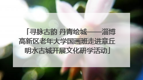 寻脉古韵 丹青绘城——淄博高新区老年大学国画班走进章丘明水古城开展文化研学活动
