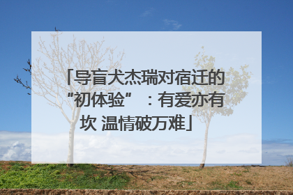 导盲犬杰瑞对宿迁的“初体验”：有爱亦有坎 温情破万难
