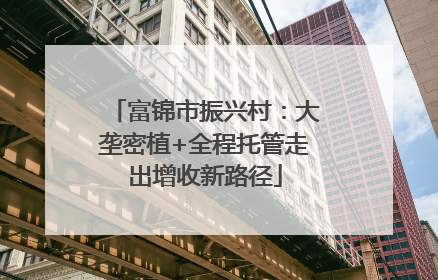 富锦市振兴村：大垄密植+全程托管走出增收新路径