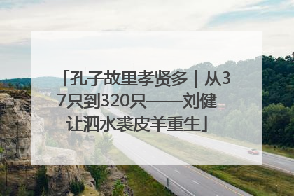 孔子故里孝贤多｜从37只到320只——刘健让泗水裘皮羊重生