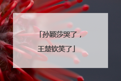 孙颖莎哭了，王楚钦笑了