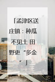 孟津区送庄镇：种瓜不见土 田野更“多金”