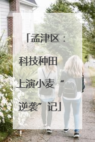 孟津区：科技种田 上演小麦“逆袭”记