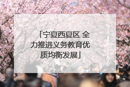 宁夏西夏区 全力推进义务教育优质均衡发展