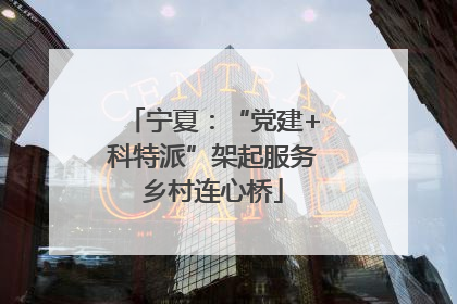 宁夏：“党建+科特派”架起服务乡村连心桥
