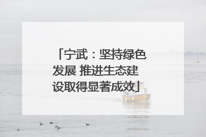 宁武：坚持绿色发展 推进生态建设取得显著成效