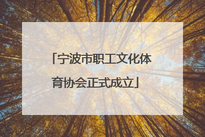 宁波市职工文化体育协会正式成立