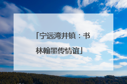 宁远湾井镇：书林翰墨传情谊