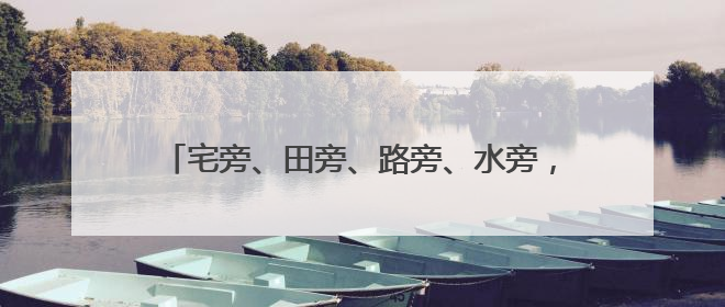宅旁、田旁、路旁、水旁，整治提升人居环境，这里从“一处美”向“全域美”蝶变