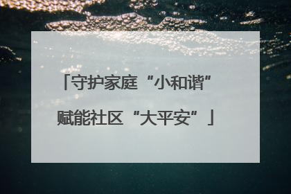 守护家庭“小和谐” 赋能社区“大平安”
