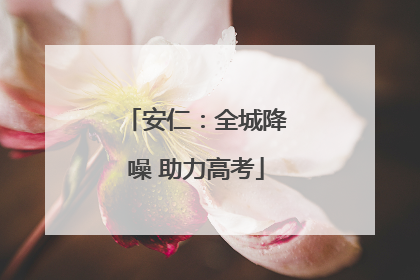 安仁：全城降噪 助力高考