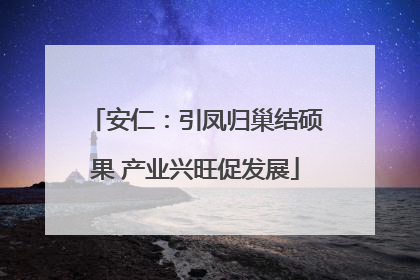 安仁：引凤归巢结硕果 产业兴旺促发展