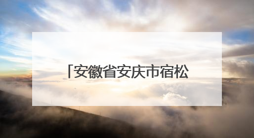 安徽省安庆市宿松县市场监督管理局关于公布2025年第3期食品安全监督抽检信息的通告
