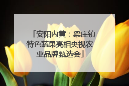 安阳内黄：梁庄镇特色蔬果亮相央视农业品牌甄选会