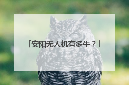 安阳无人机有多牛？