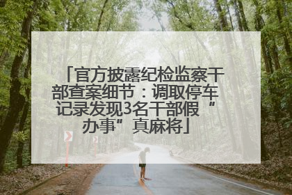 官方披露纪检监察干部查案细节：调取停车记录发现3名干部假“办事”真麻将