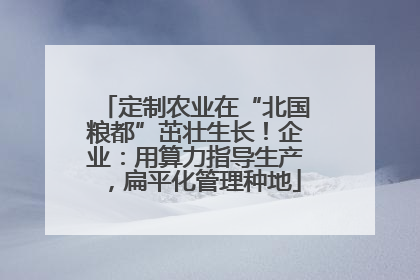 定制农业在“北国粮都”茁壮生长！企业：用算力指导生产，扁平化管理种地