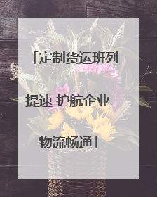 定制货运班列提速 护航企业物流畅通