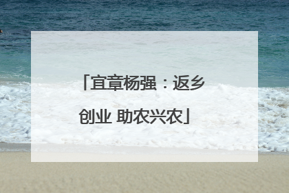 宜章杨强：返乡创业 助农兴农