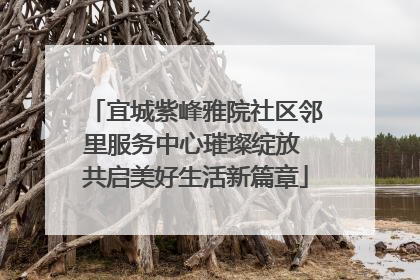 宜城紫峰雅院社区邻里服务中心璀璨绽放 共启美好生活新篇章