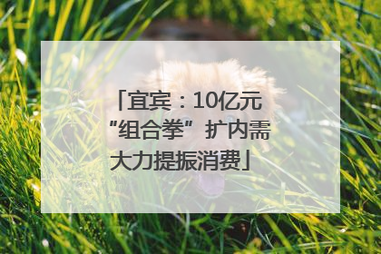 宜宾：10亿元“组合拳”扩内需 大力提振消费