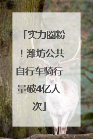 实力圈粉！潍坊公共自行车骑行量破4亿人次