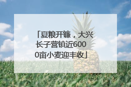 夏粮开镰，大兴长子营镇近6000亩小麦迎丰收