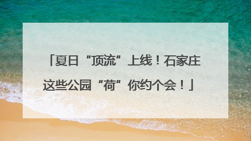 夏日“顶流”上线！石家庄这些公园“荷”你约个会！