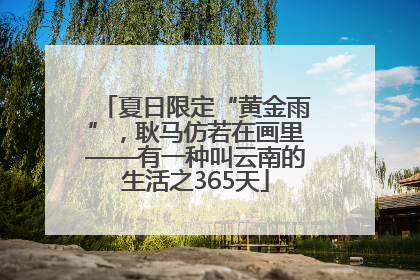 夏日限定“黄金雨”，耿马仿若在画里——有一种叫云南的生活之365天