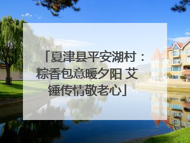 夏津县平安湖村：粽香包意暖夕阳 艾锤传情敬老心