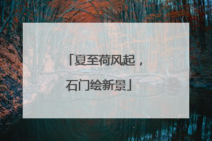 夏至荷风起，石门绘新景