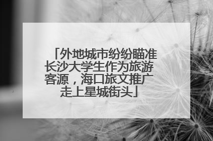 外地城市纷纷瞄准长沙大学生作为旅游客源，海口旅文推广走上星城街头
